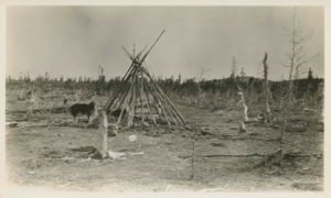 Image of Nascopie Indian [Innu]- Lodge poles